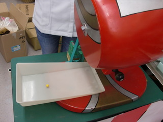 CIMG0870.JPG
